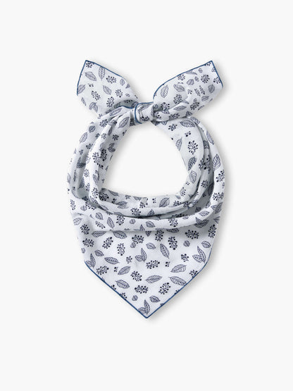 Arushi | Square Scarf